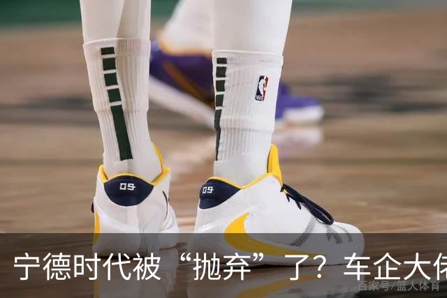 宁德时代被“抛弃”了？车企大佬们集体“反水”，背后真相太扎心